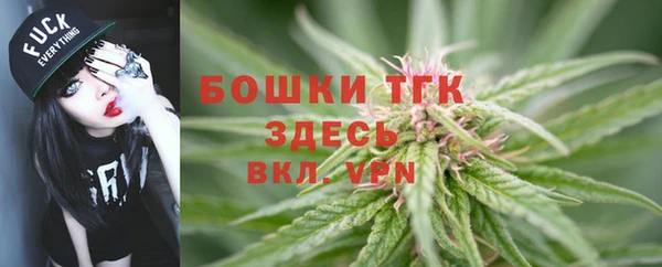 бошки Алзамай