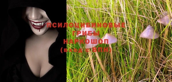бошки Алзамай