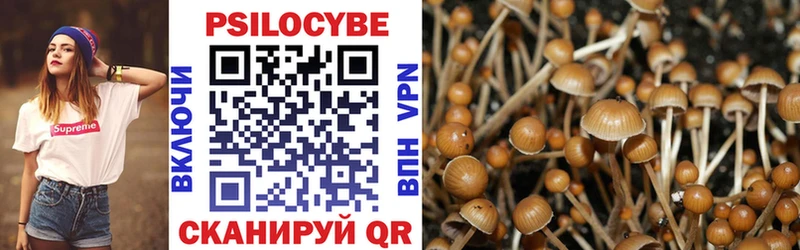 Псилоцибиновые грибы Magic Shrooms Удомля